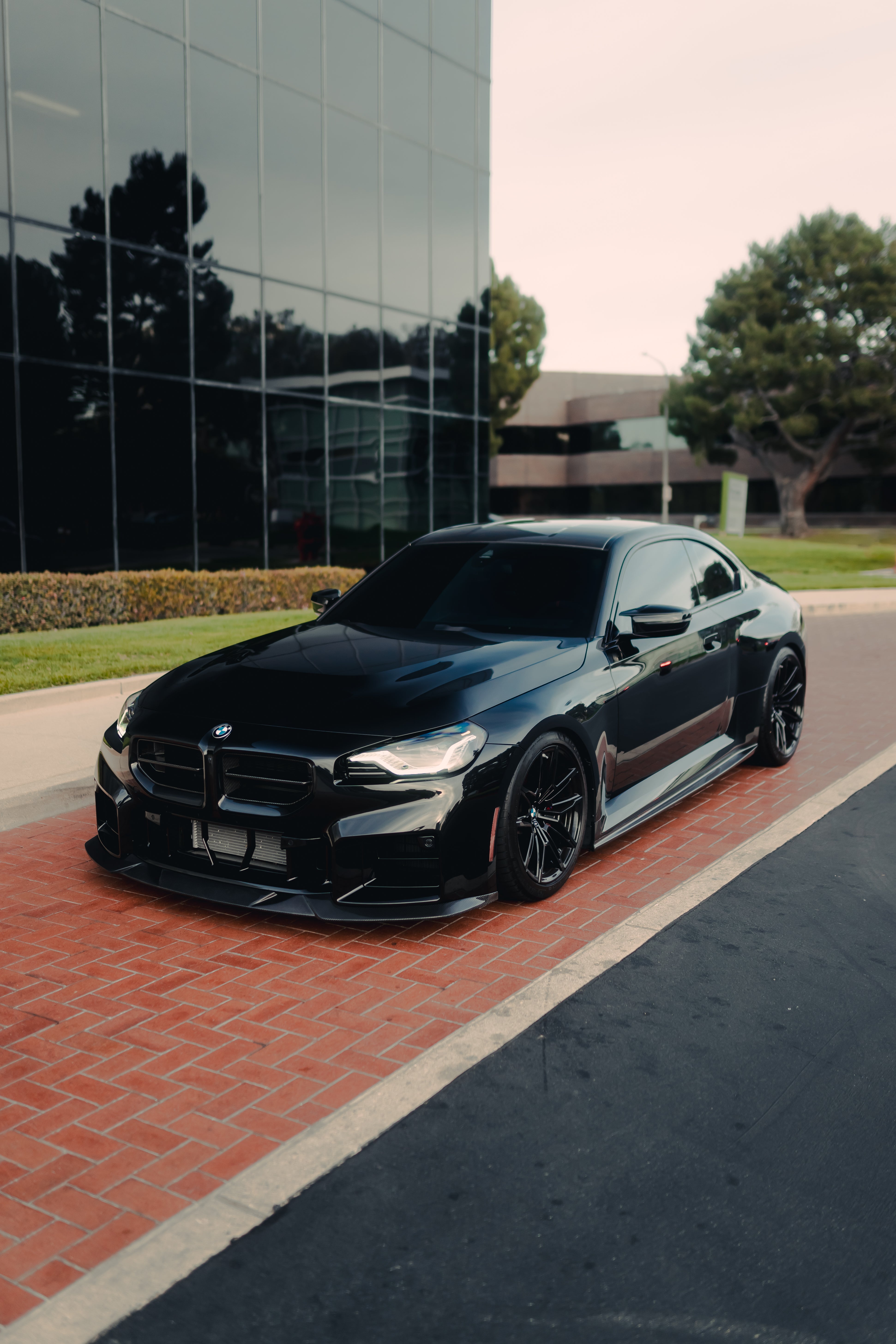 3D Style Carbon Fiber Side Skirt - BMW G87 M2