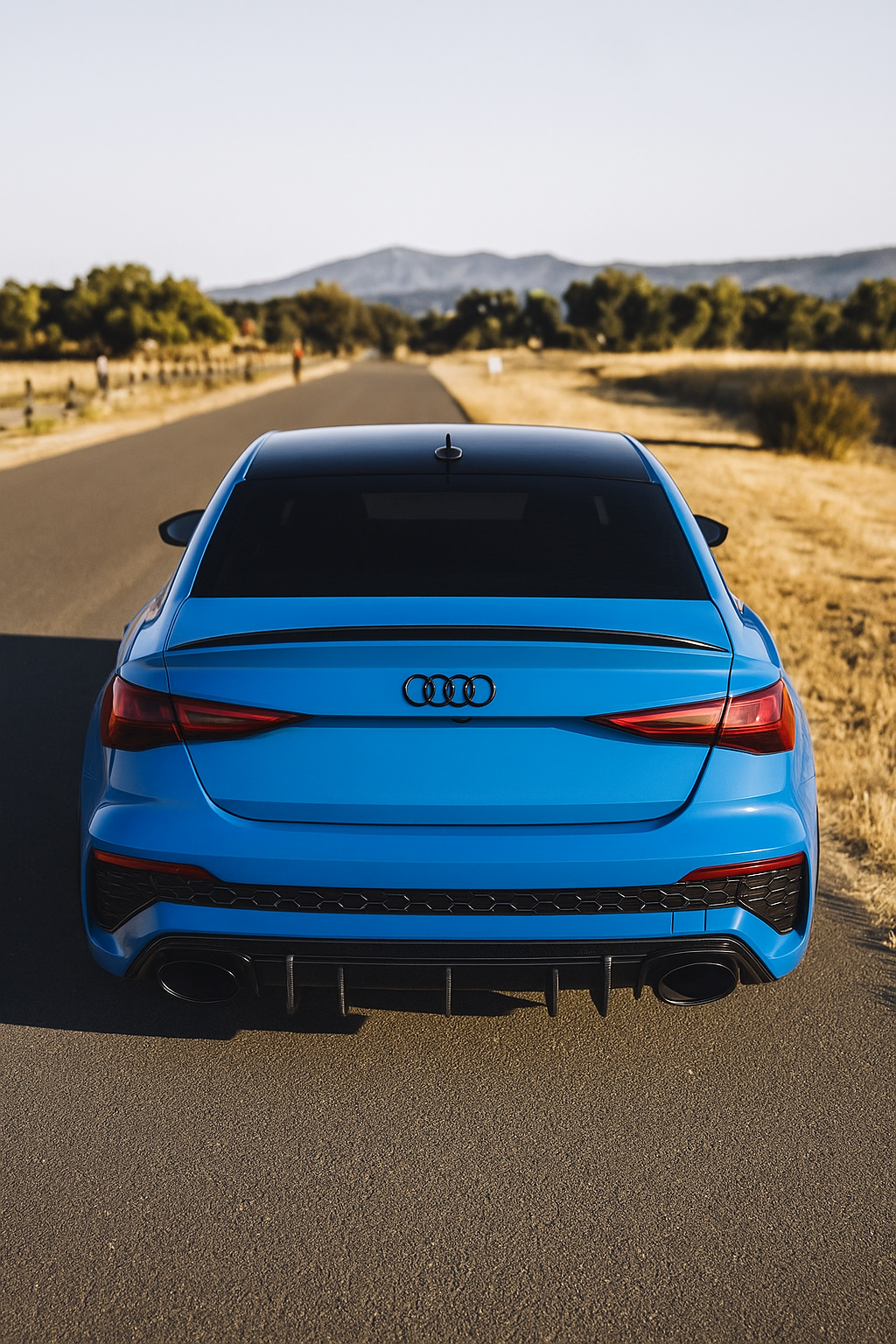 Audi RS3 8Y Carbon Fiber Diffuser