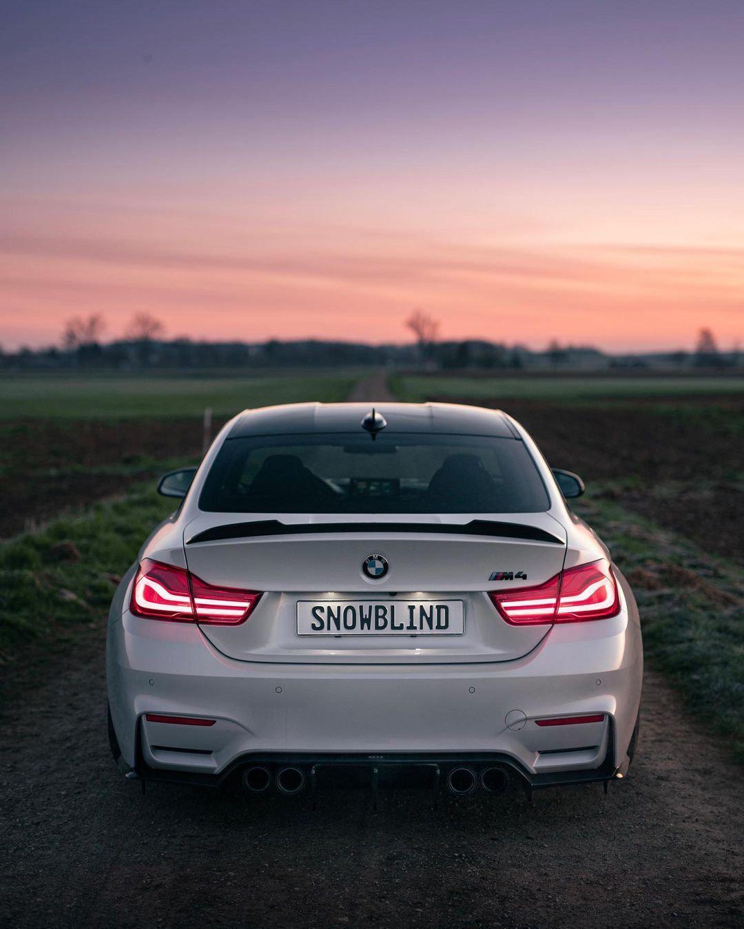 CS Style Carbon Fiber Trunk Spoiler - BMW F82/F83 M4