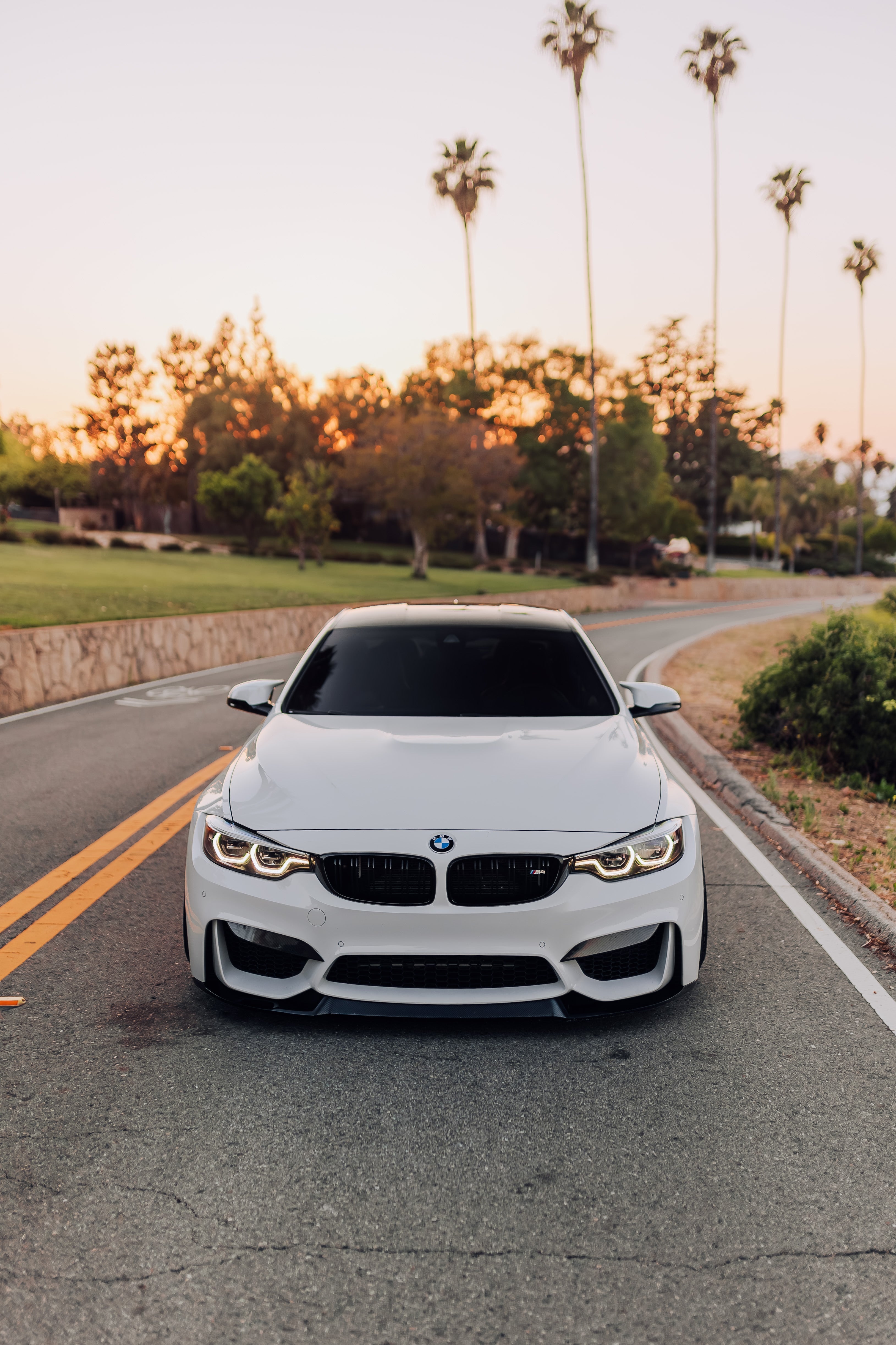 Carbon Fiber Front Upper Splitters - BMW F80 M3 & F82 / F83 M4