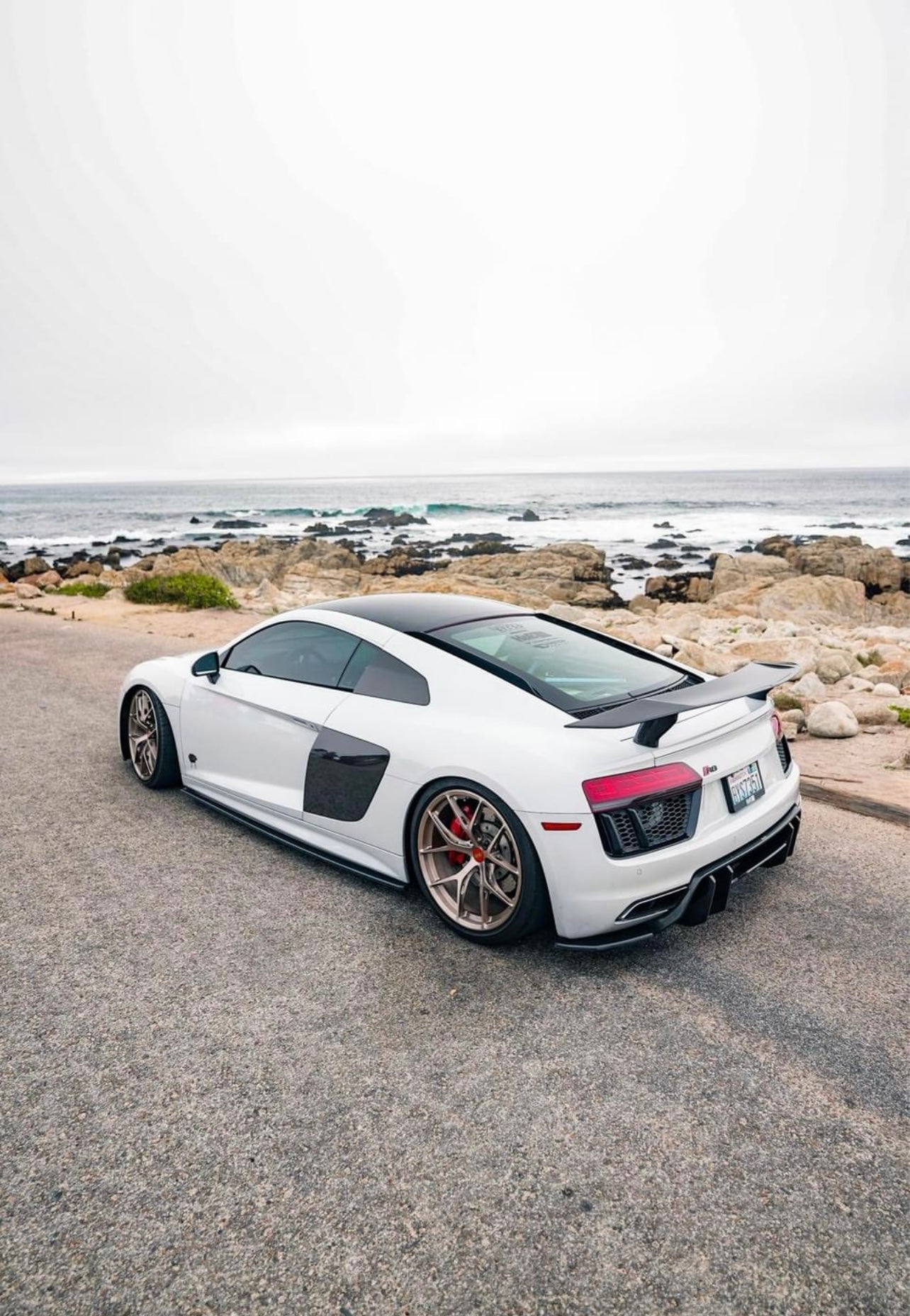 Audi R8 Artisan Carbon Fiber Wing
