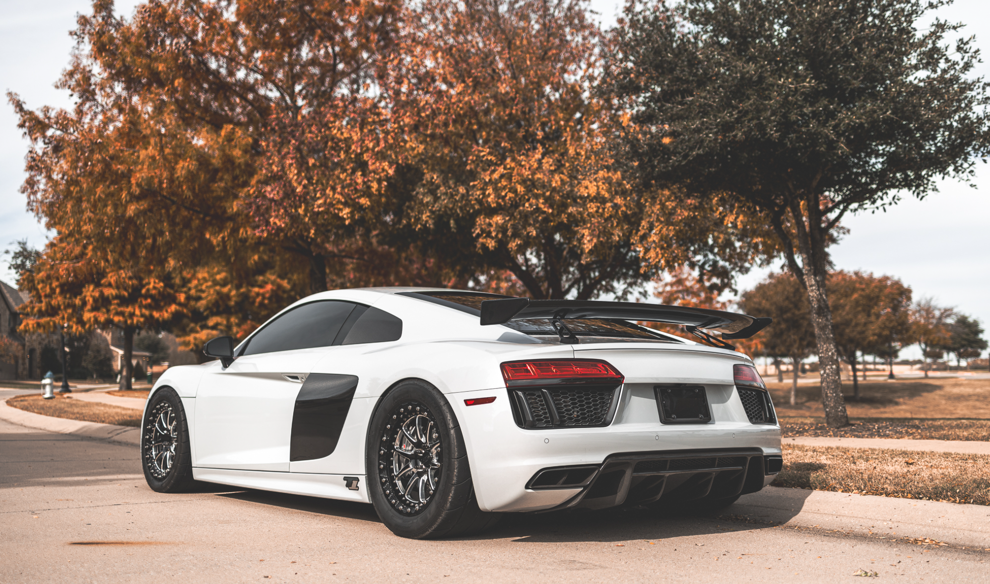 Audi R8 Performance Style Carbon Fiber Wing