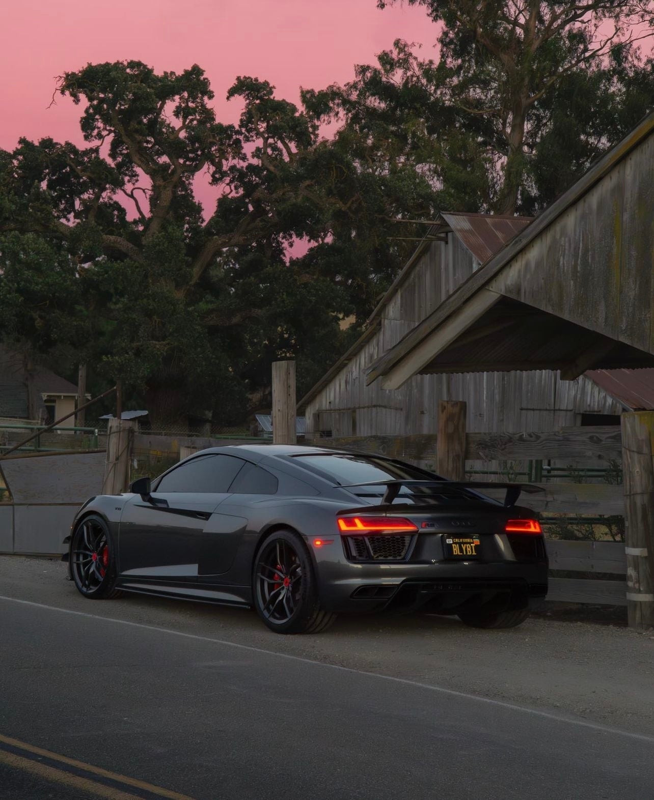 Audi R8 Artisan Carbon Fiber Wing