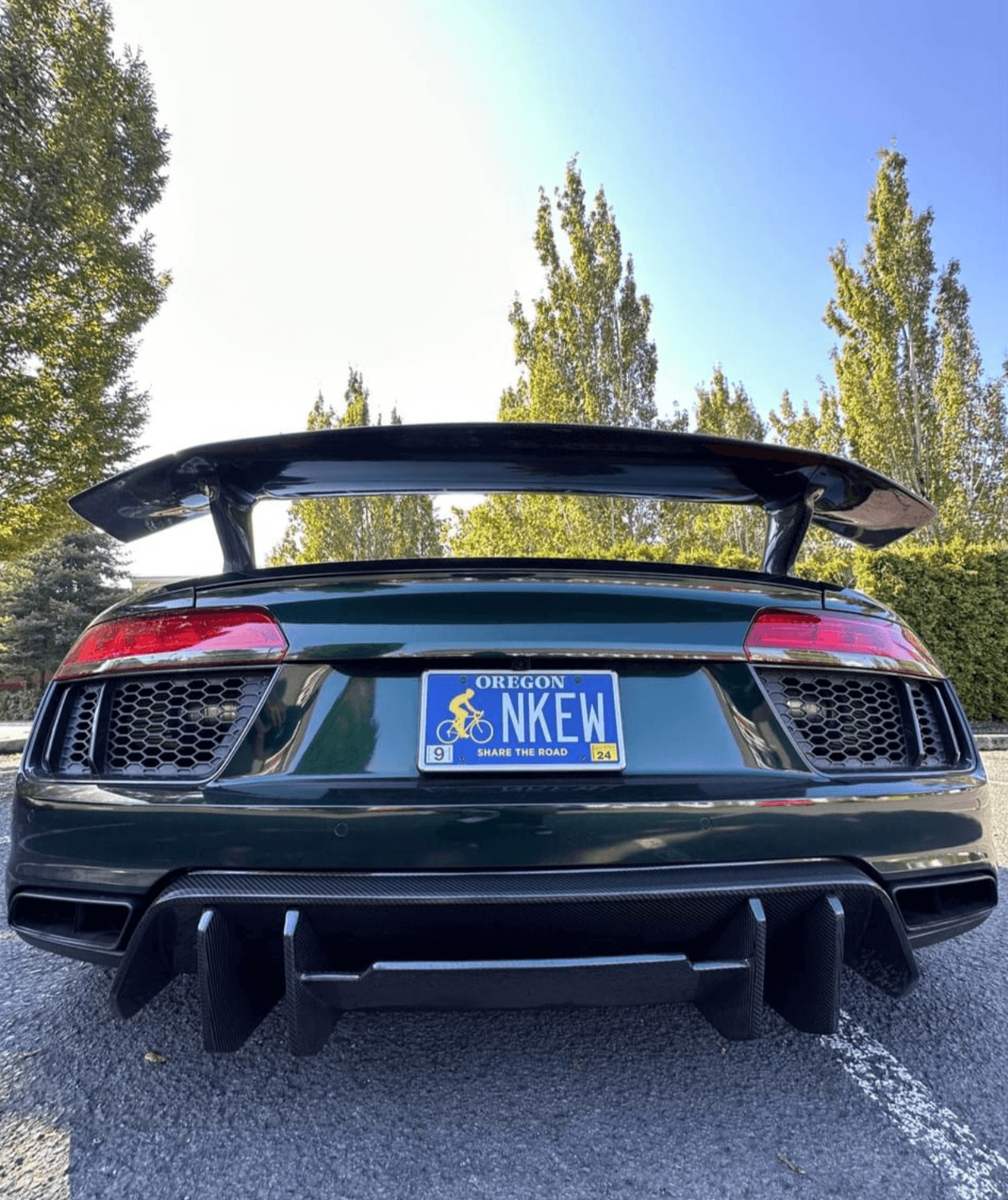 Audi R8 Artisan Carbon Fiber Wing