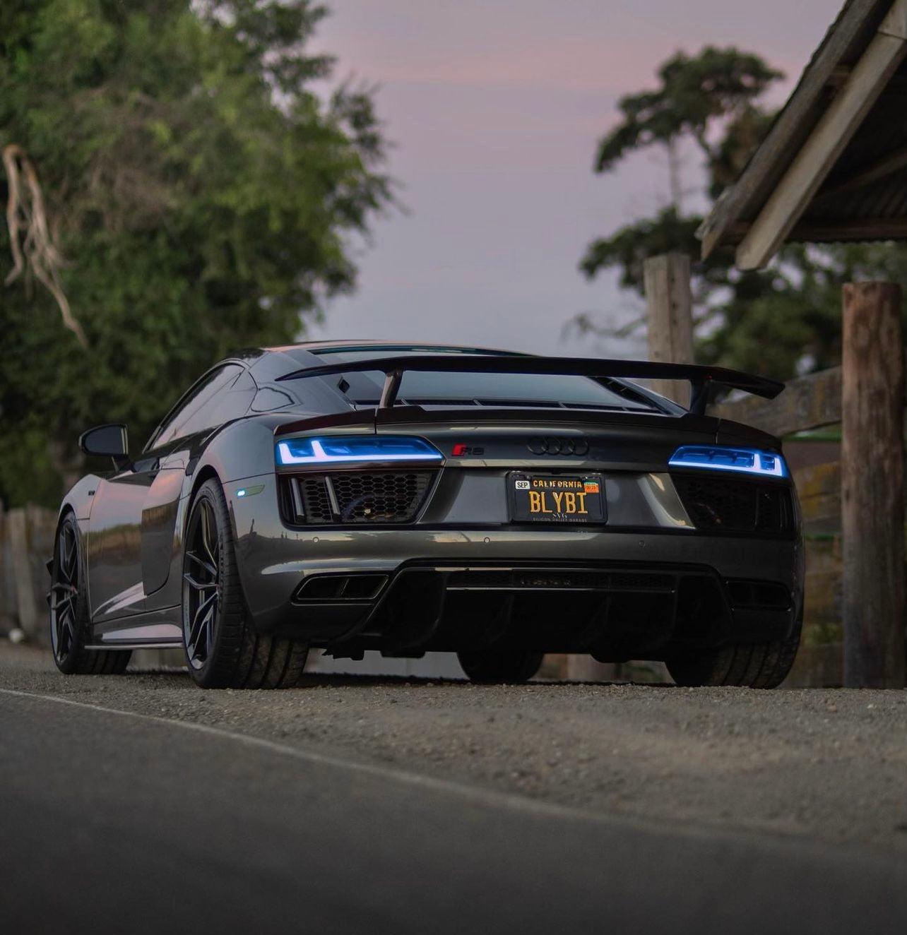 Audi R8 Artisan Carbon Fiber Wing