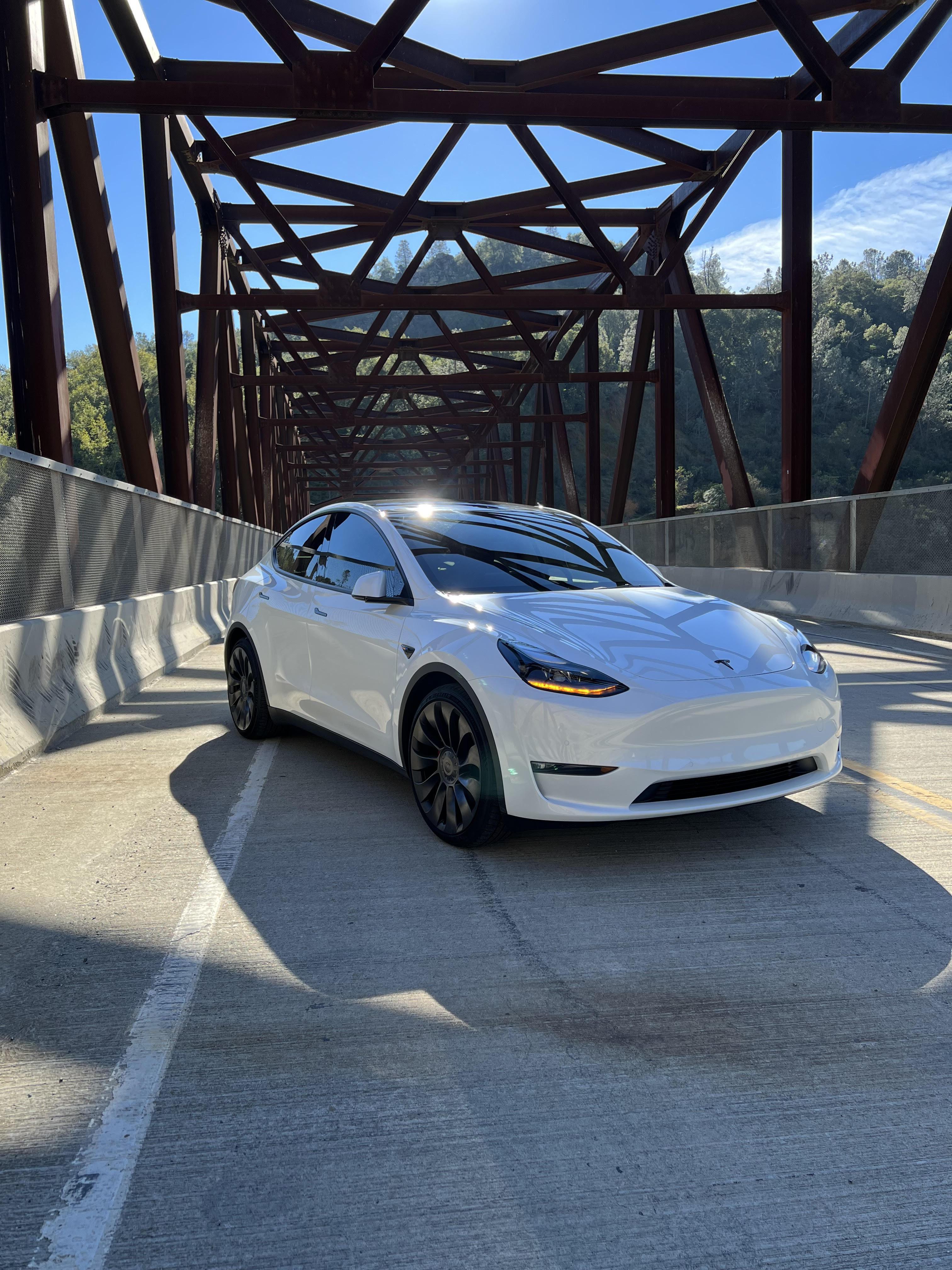 Tesla model 3/Y Hood emblem