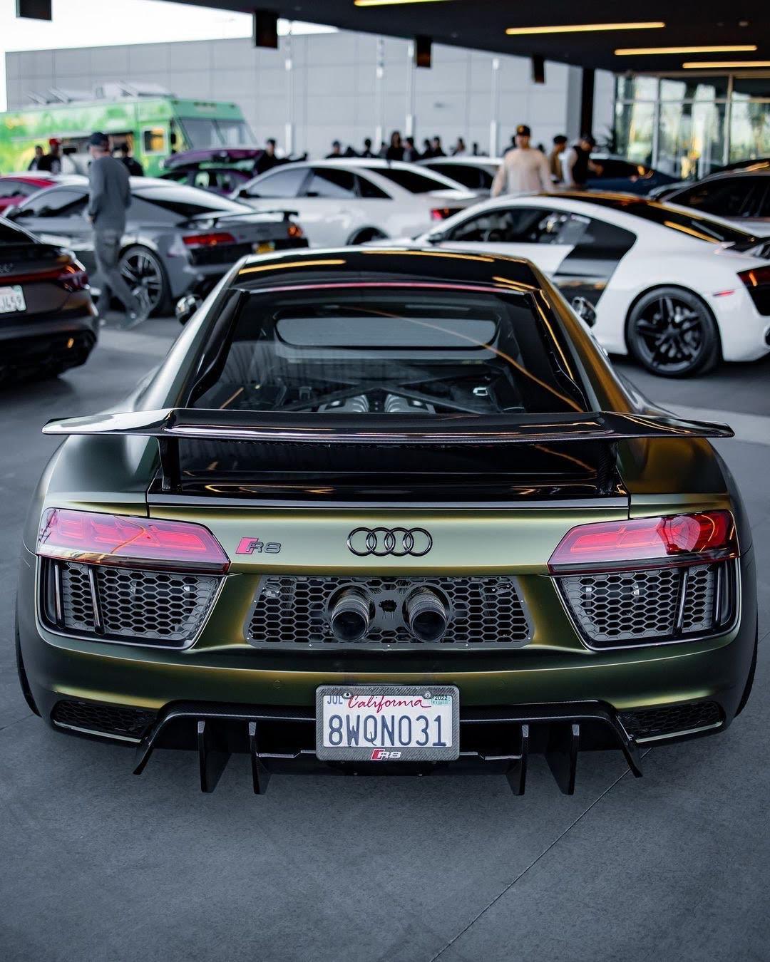 Audi R8 Artisan Carbon Fiber Wing