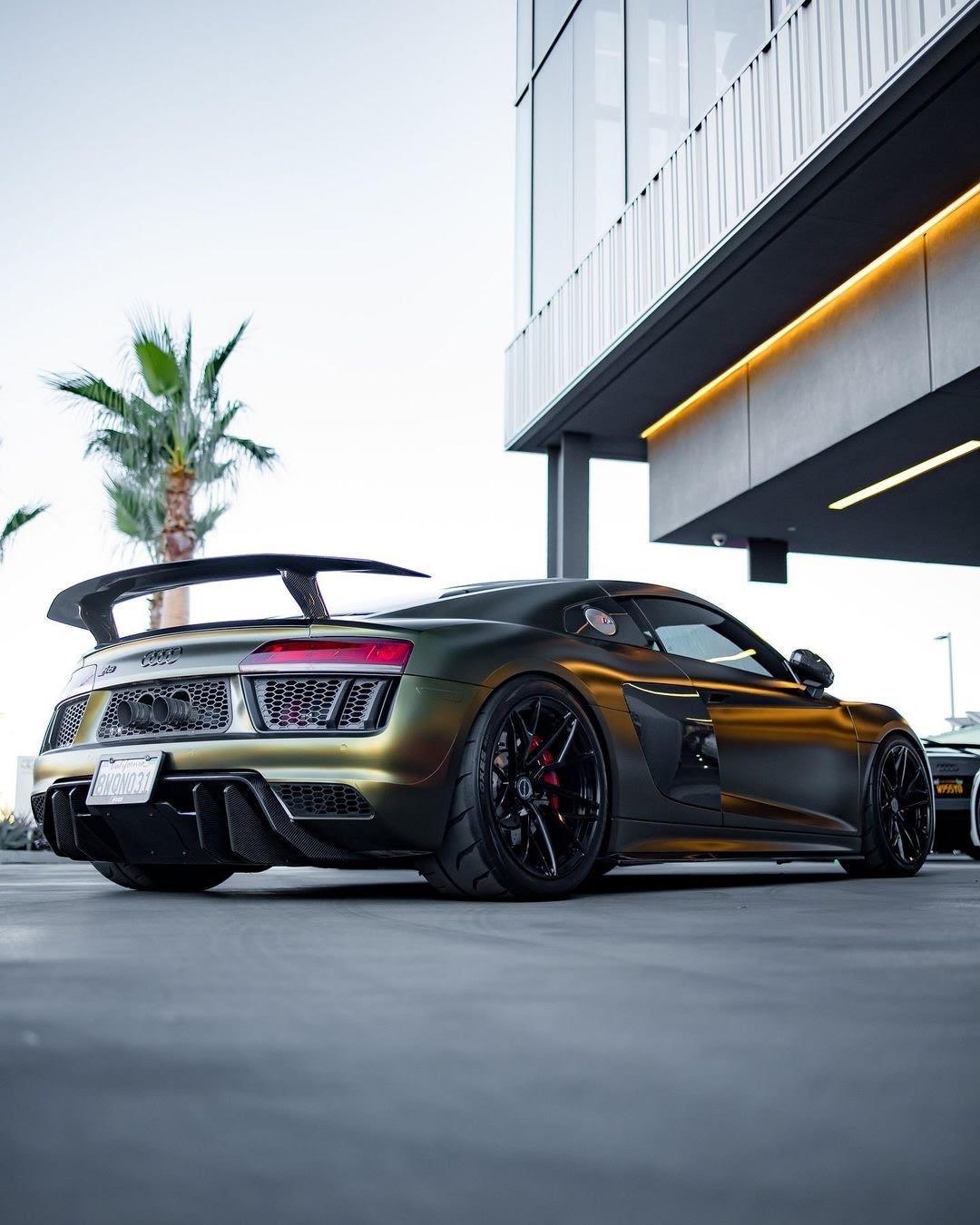 Audi R8 Artisan Carbon Fiber Wing