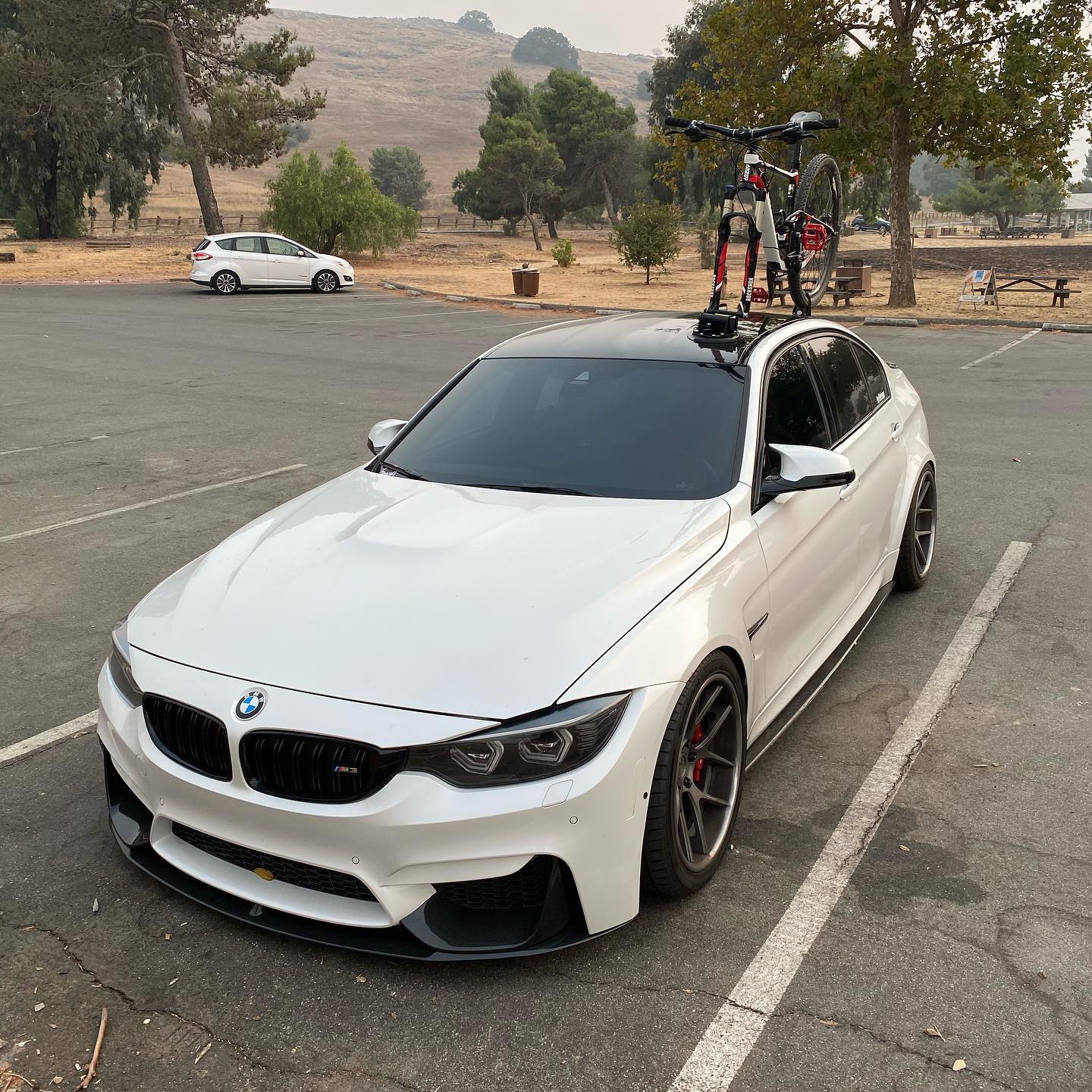 M Performance Carbon Fiber Front Lip w/ Canard - BMW F80 M3 & F82 / F83 M4