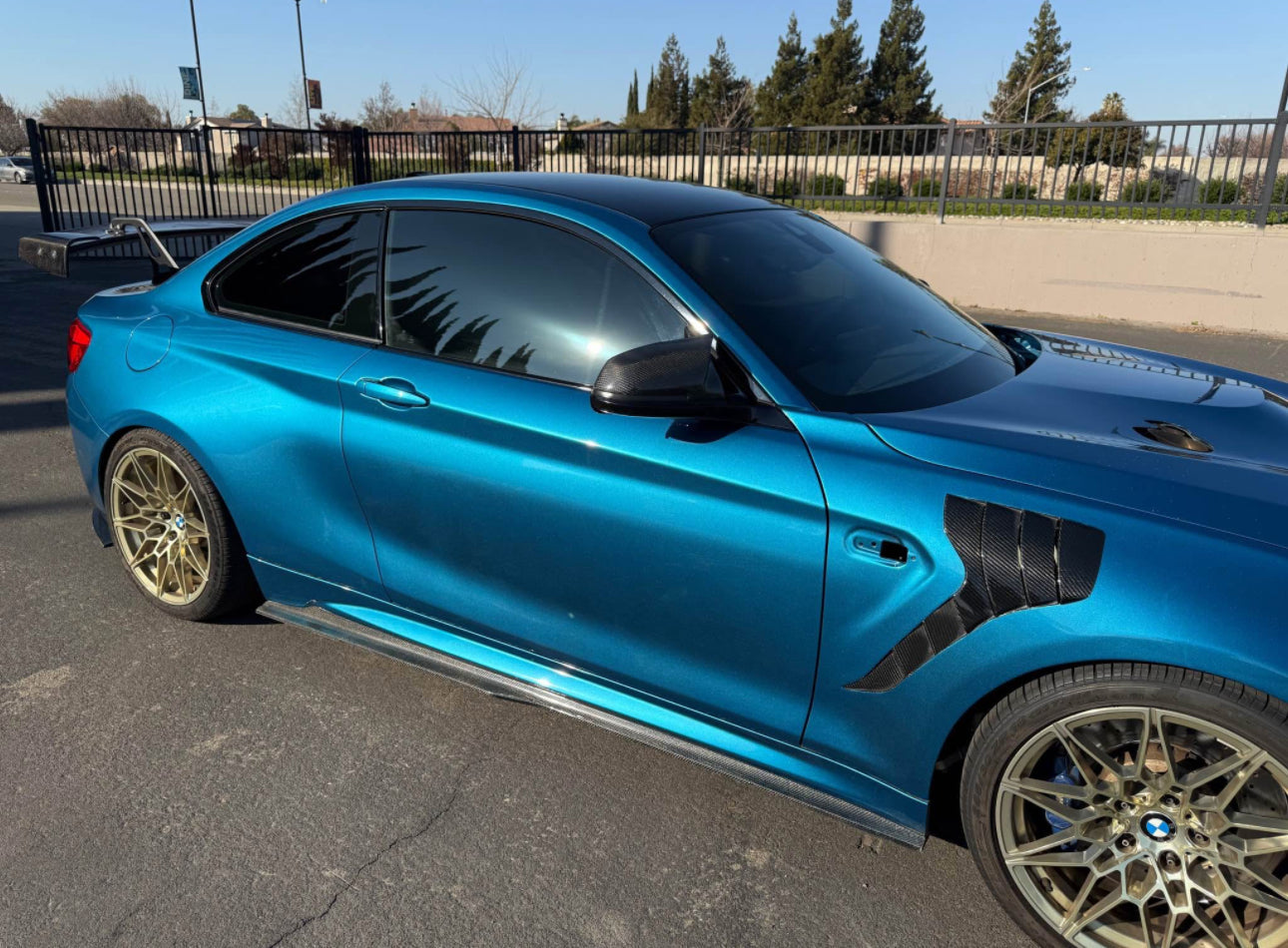 Carbon Fiber Vented Front Fenders - BMW F87 M2 & M2C