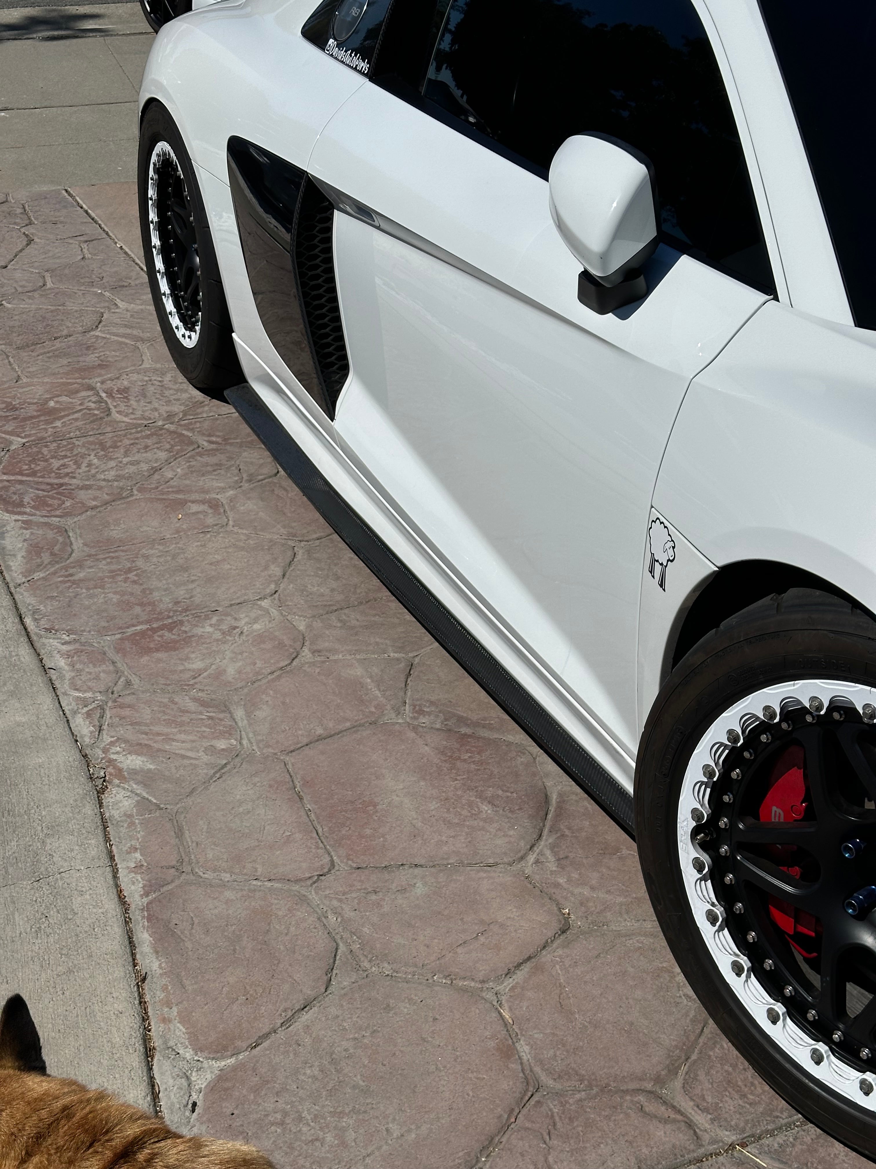 Carbon Fiber Side Skirts - Audi R8 V10