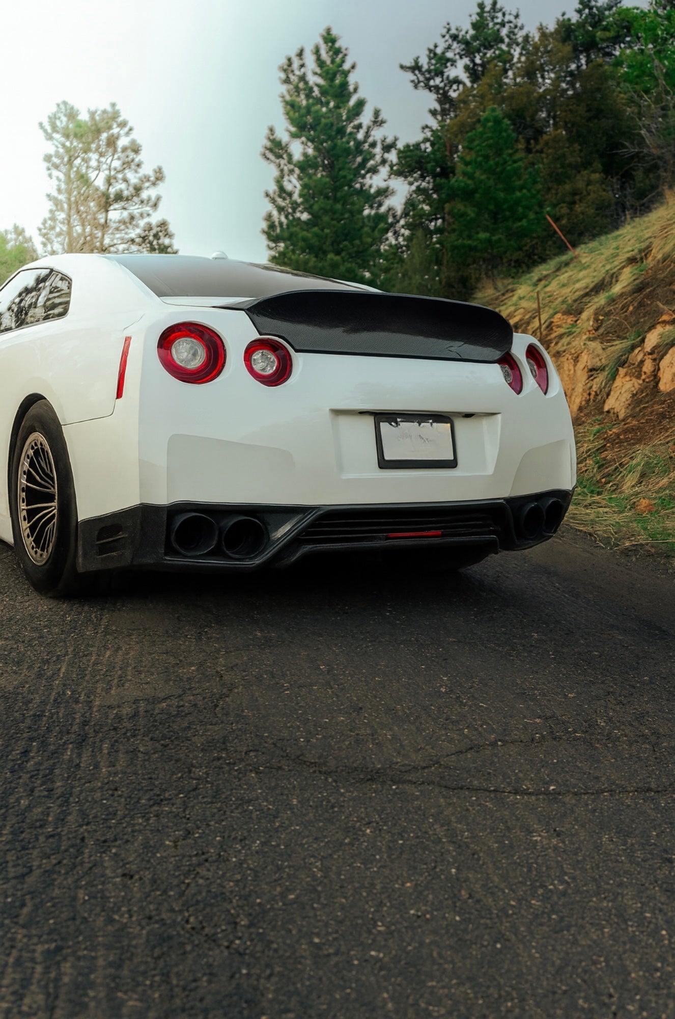 Carbon Fiber GTR Duckbill Trunk