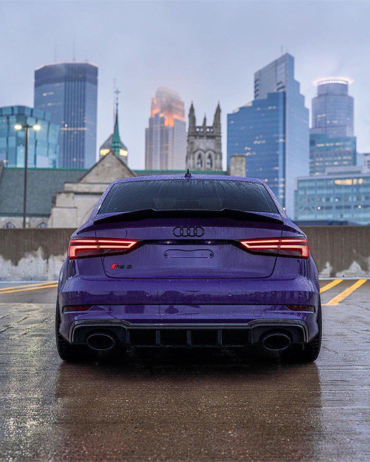 Audi RS3 Carbon Fiber Fin Diffuser