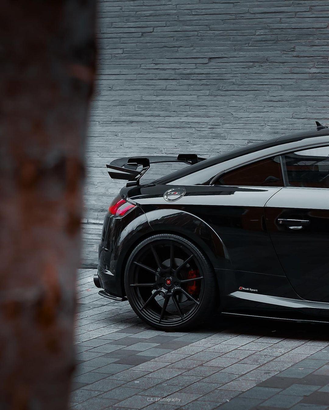 Sport Carbon Fiber Wing - Audi MK3 TTRS / TTS / TT Sport