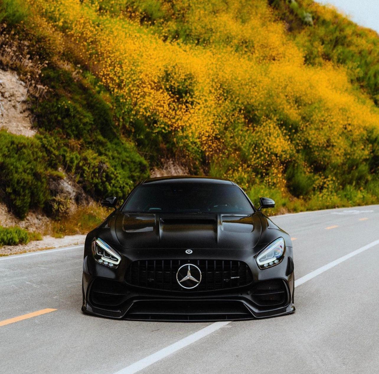 Mercedes AMG GT/GTS/GTC 2016-2019 Carbon Fiber Front Lip
