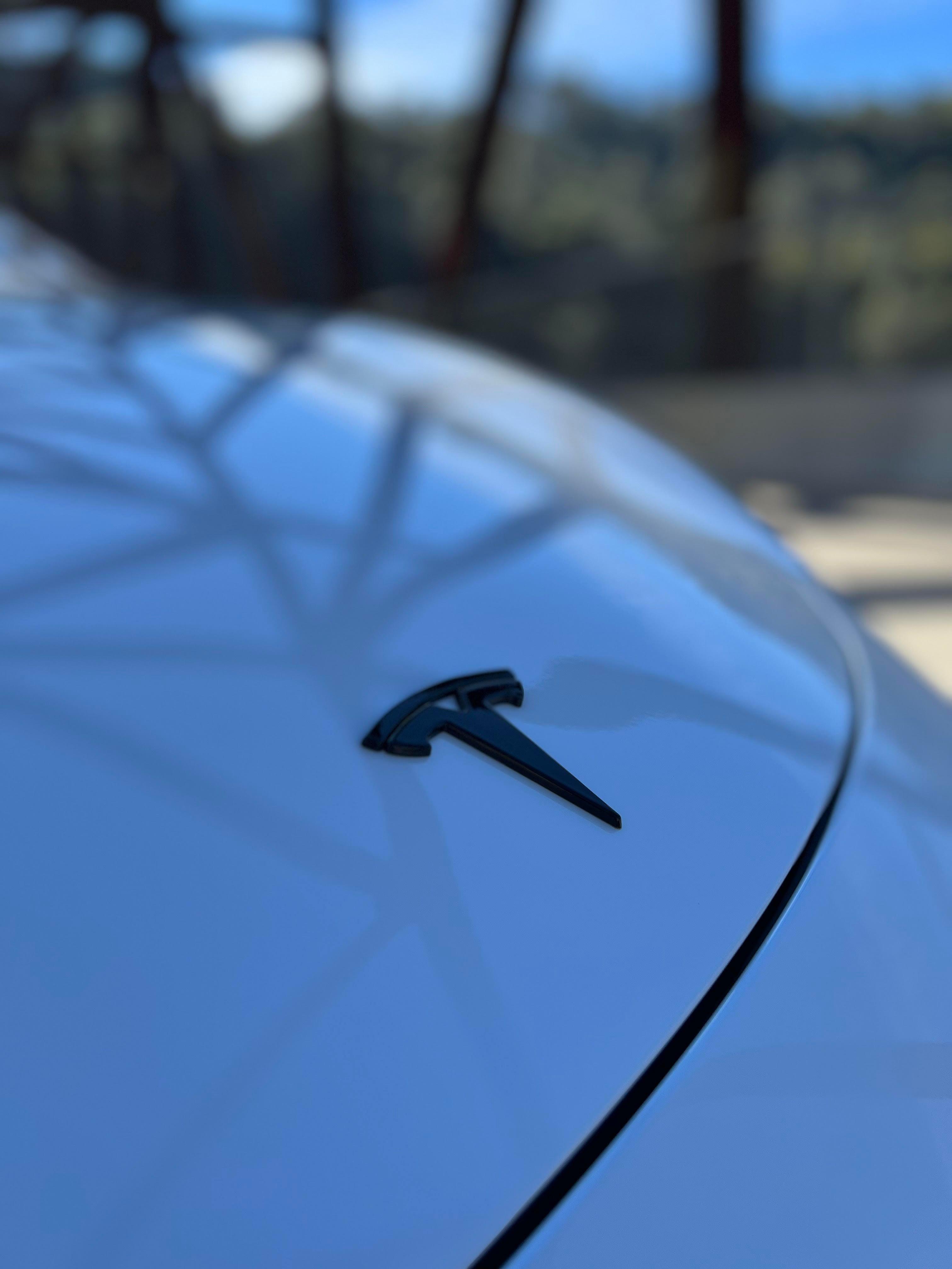 Tesla model 3/Y Hood emblem