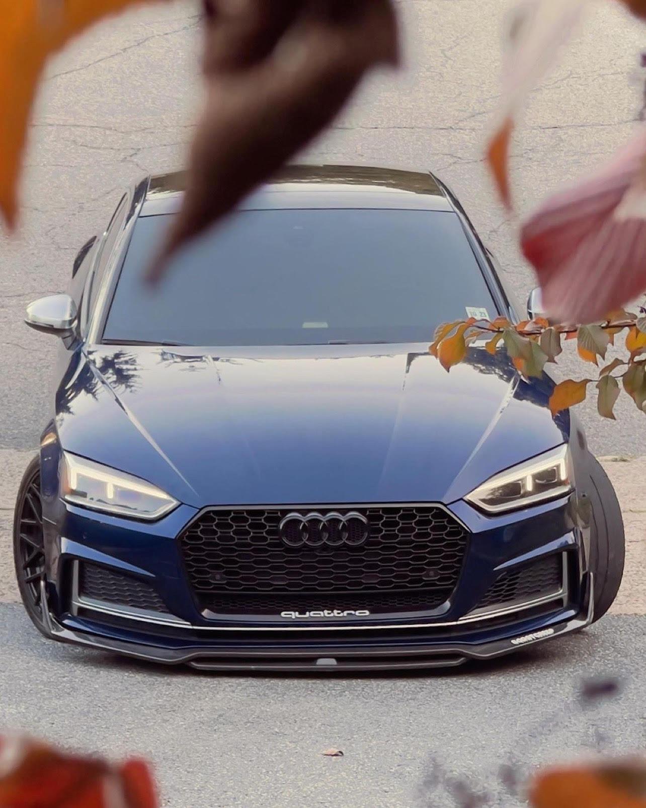 Audi A5/S5 Carbon Fiber Front Lip 2017-2019