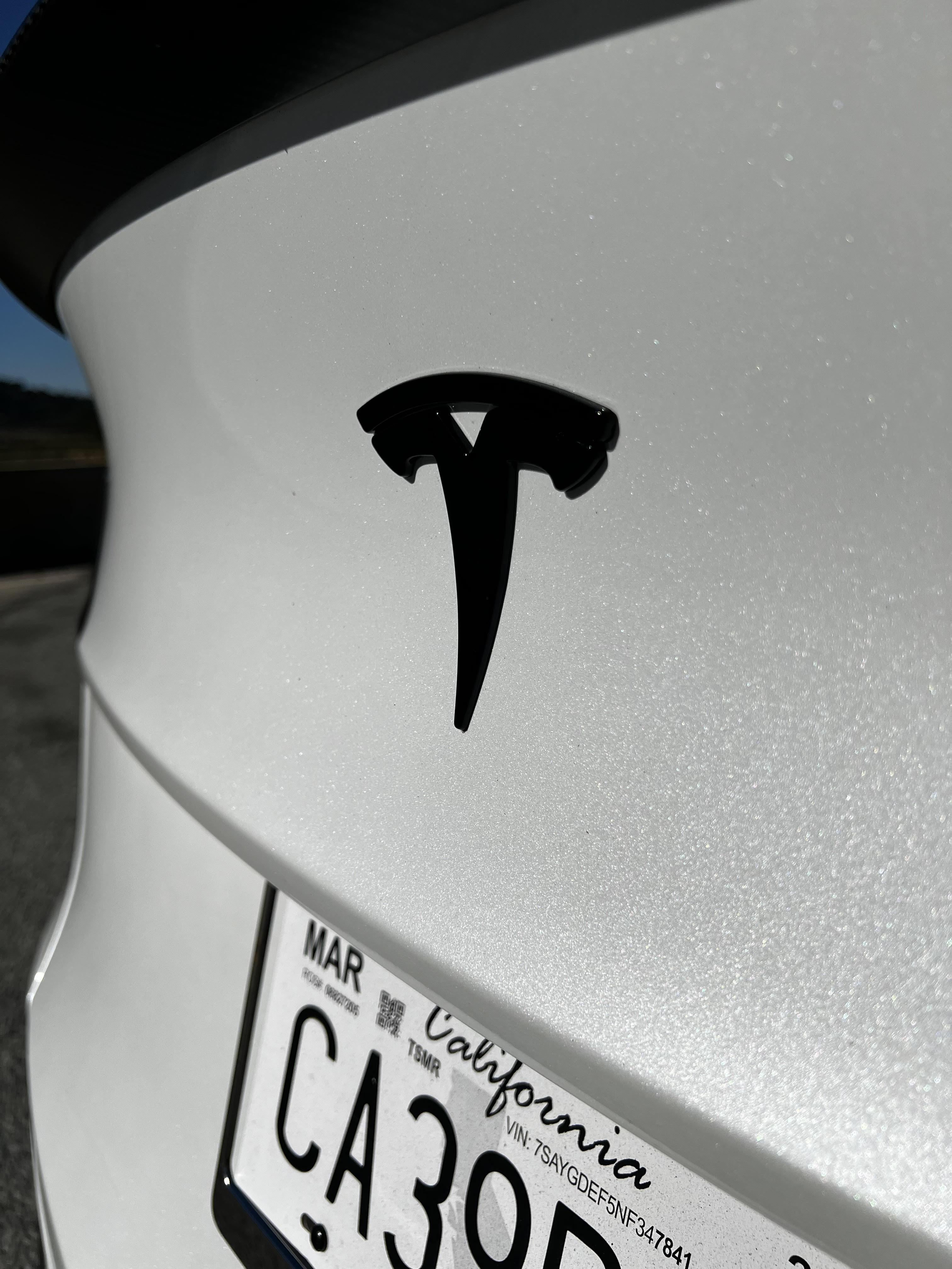 Tesla Model 3/Y Rear Badge